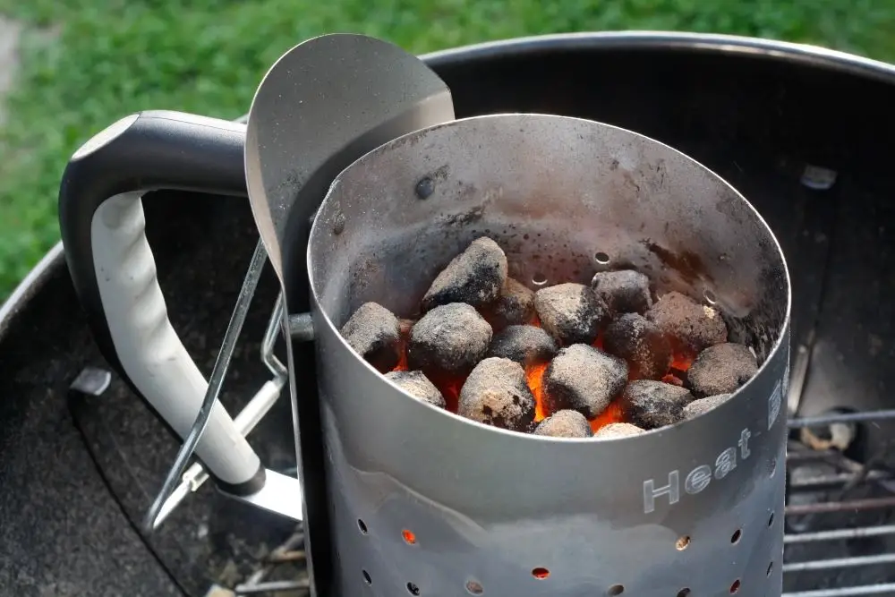 Best Chimney Starter