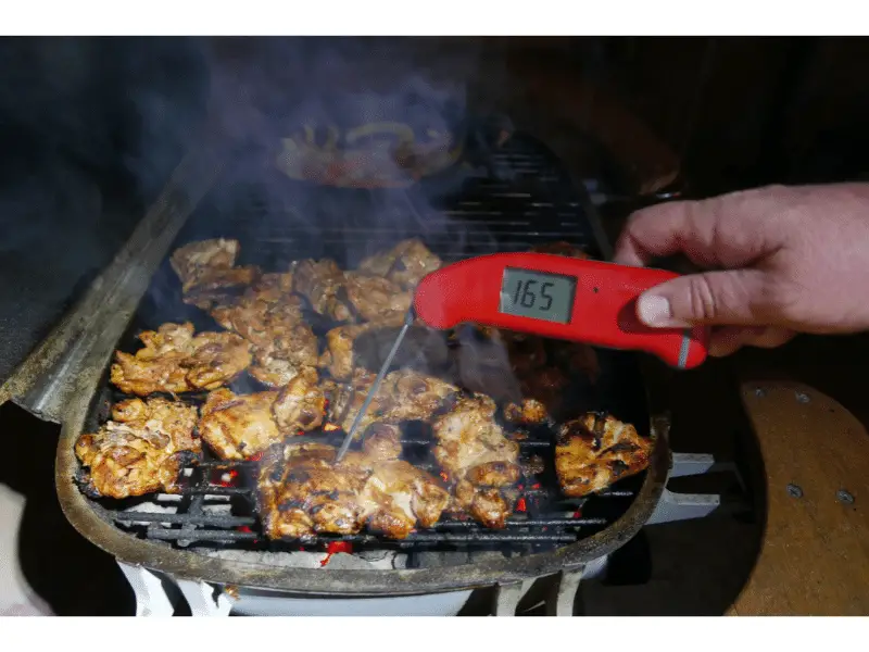 Best Charcoal Grill Thermometer